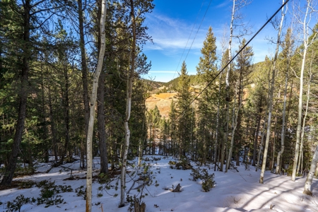 Mountain Properties for Sale in Colorado - image 8
