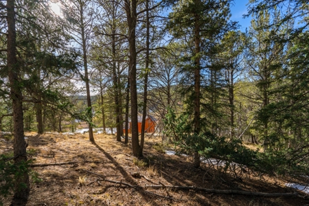 Mountain Properties for Sale in Colorado - image 6