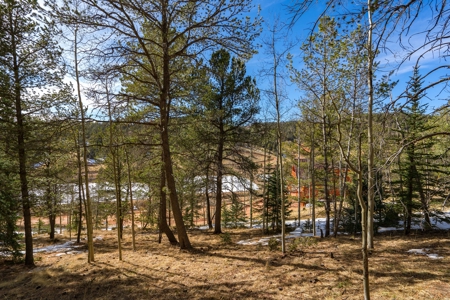 Mountain Properties for Sale in Colorado - image 1