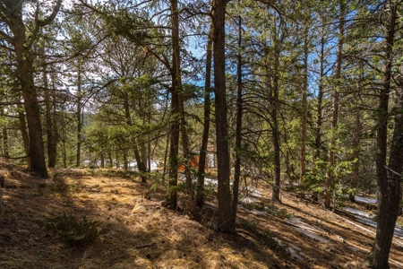 Mountain Properties for Sale in Colorado - image 10