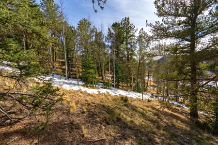 Mountain Properties for Sale in Colorado - image 4