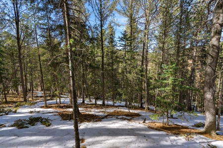 Mountain Properties for Sale in Colorado - image 7