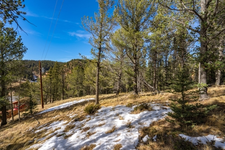 Mountain Properties for Sale in Colorado - image 3