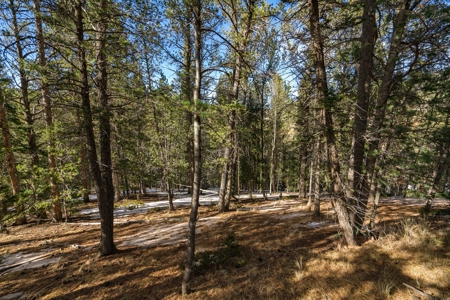 Mountain Properties for Sale in Colorado - image 9
