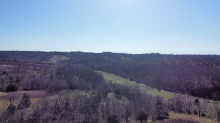 Peaceful Country Home&Land - image 24