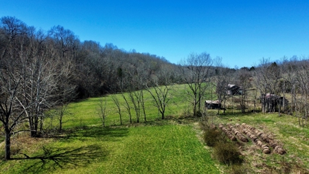 Peaceful Country Home&Land - image 38