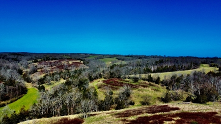 Peaceful Country Home&Land - image 26