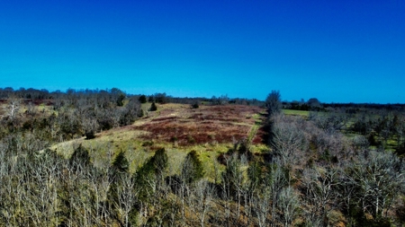 Peaceful Country Home&Land - image 36