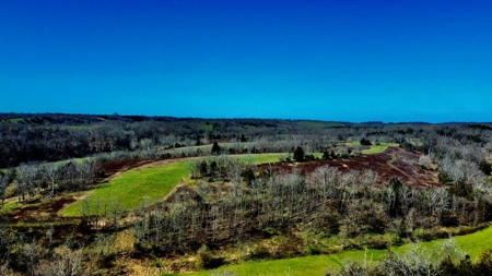 Peaceful Country Home&Land - image 22