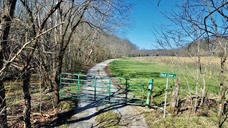Peaceful Country Home&Land - image 32