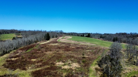 Peaceful Country Home&Land - image 41