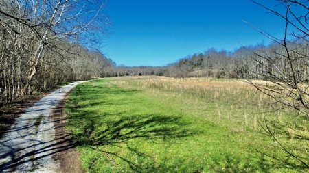 Peaceful Country Home&Land - image 33