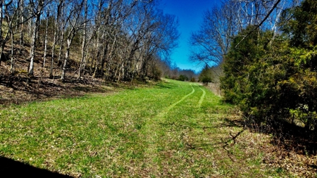 Peaceful Country Home&Land - image 46