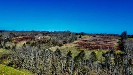 Peaceful Country Home&Land - image 35