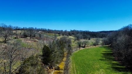 Peaceful Country Home&Land - image 45