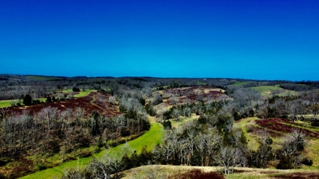 Peaceful Country Home&Land - image 25