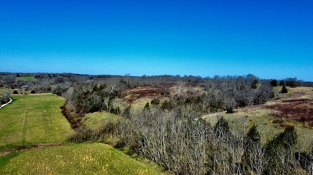 Peaceful Country Home&Land - image 30