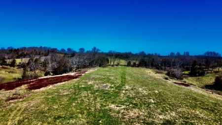 Peaceful Country Home&Land - image 29