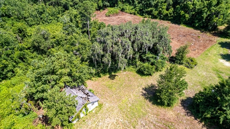 Lake Louise Frontage! Live Oak Land For Sale! - image 13