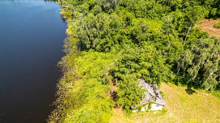 Lake Louise Frontage! Live Oak Land For Sale! - image 16