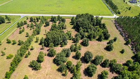 Lake Louise Frontage! Live Oak Land For Sale! - image 10