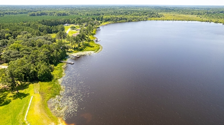 Lake Louise Frontage! Live Oak Land For Sale! - image 14