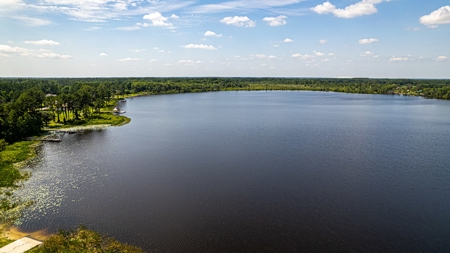 Lake Louise Frontage! Live Oak Land For Sale! - image 15
