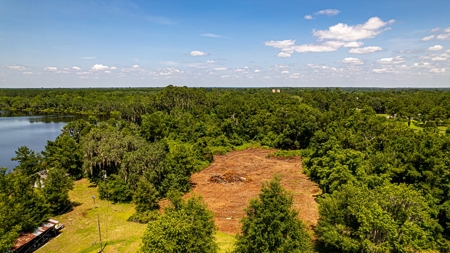 Lake Louise Frontage! Live Oak Land For Sale! - image 3