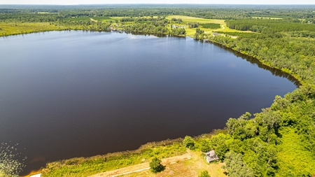 Lake Louise Frontage! Live Oak Land For Sale! - image 4