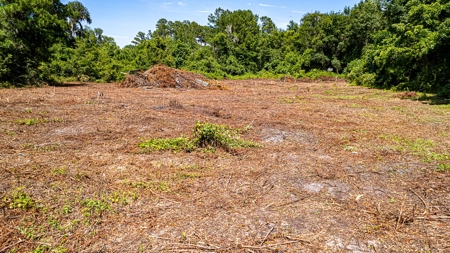 Lake Louise Frontage! Live Oak Land For Sale! - image 18