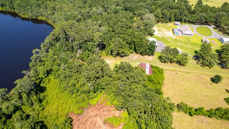 Lake Louise Frontage! Live Oak Land For Sale! - image 9