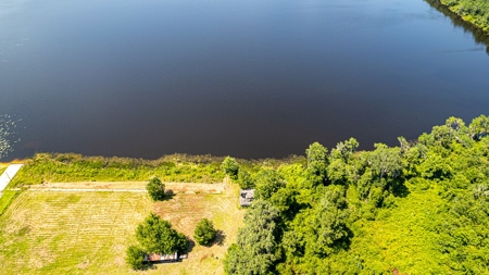 Lake Louise Frontage! Live Oak Land For Sale! - image 8