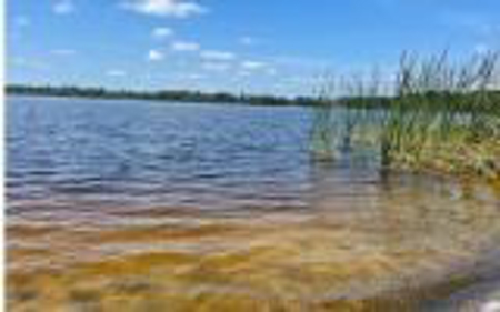 Lake Louise Frontage! Live Oak Land For Sale! - image 1