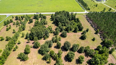 Lake Louise Frontage! Live Oak Land For Sale! - image 7