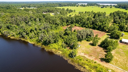 Lake Louise Frontage! Live Oak Land For Sale! - image 12