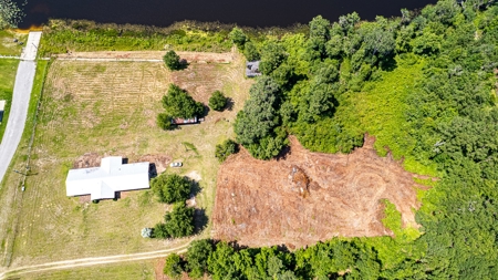 Lake Louise Frontage! Live Oak Land For Sale! - image 5