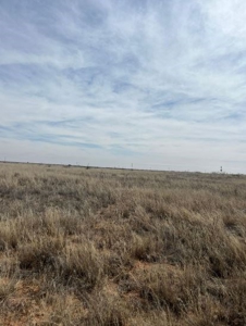 640 acres in Gaines County, Texas - image 1