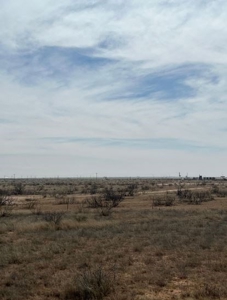 640 acres in Gaines County, Texas - image 8