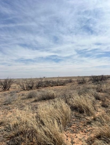 640 acres in Gaines County, Texas - image 4
