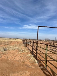 640 acres in Gaines County, Texas - image 6