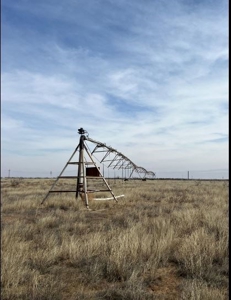 640 acres in Gaines County, Texas - image 10