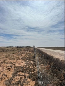 640 acres in Gaines County, Texas - image 2