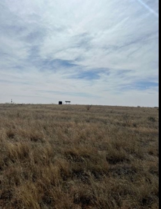 640 acres in Gaines County, Texas - image 9
