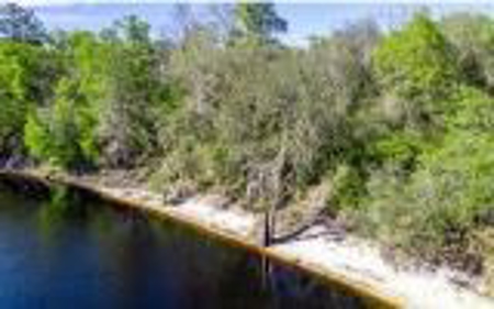 Suwannee River Land For Sale! Jasper Florida! - image 13