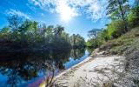 Suwannee River Land For Sale! Jasper Florida! - image 3