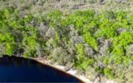 Suwannee River Land For Sale! Jasper Florida! - image 14