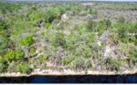 Suwannee River Land For Sale! Jasper Florida! - image 6