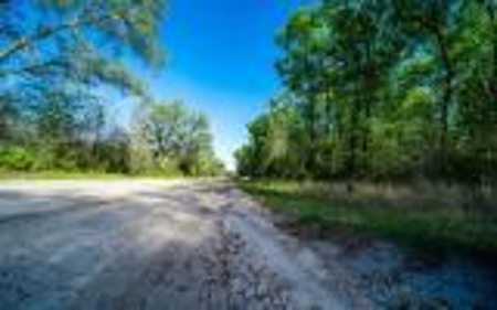 Suwannee River Land For Sale! Jasper Florida! - image 11