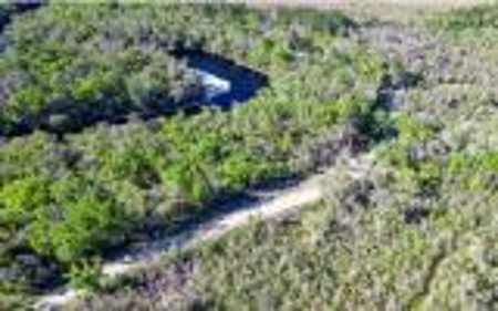 Suwannee River Land For Sale! Jasper Florida! - image 17