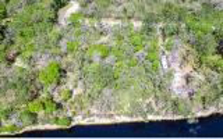 Suwannee River Land For Sale! Jasper Florida! - image 10